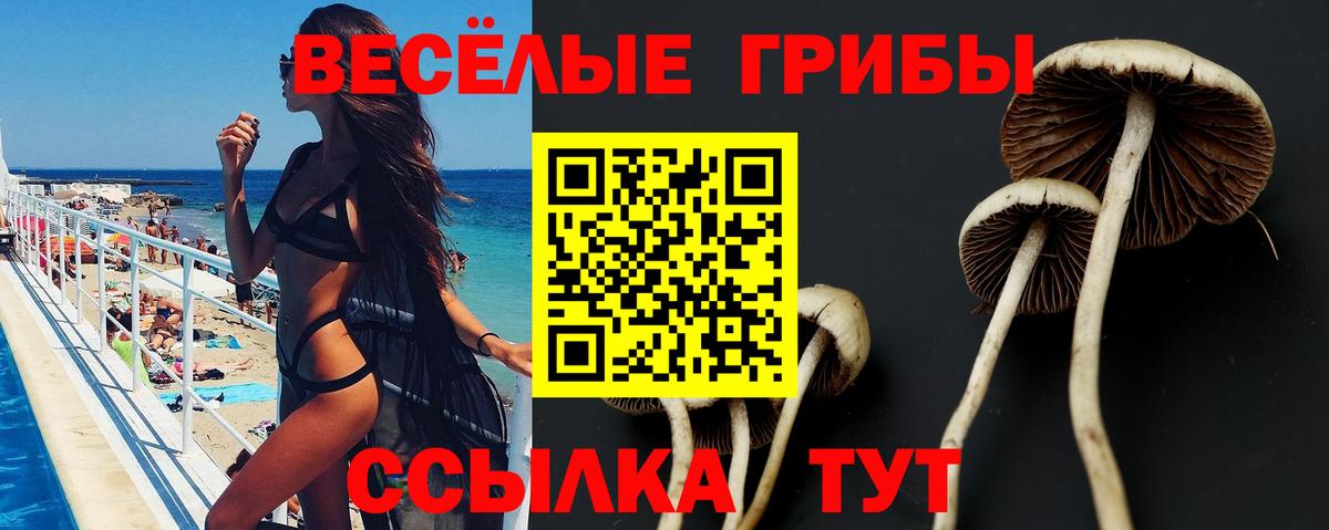 Псилоцибиновые грибы прущие грибы Глазов